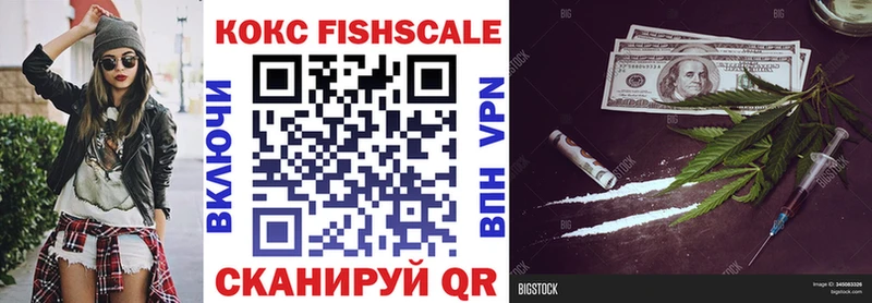 КОКАИН FishScale  купить наркотики сайты  Борзя 