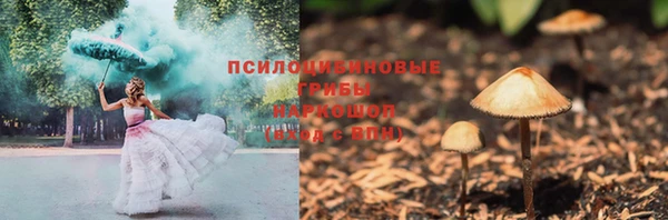 PSILOCYBIN Алексеевка