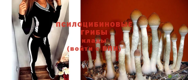 марки nbome Пролетарск