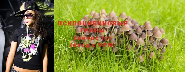 PSILOCYBIN Алексеевка