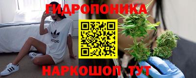 мяу мяу мука Беслан